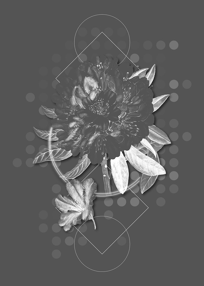 Gray Rhododendron Flower