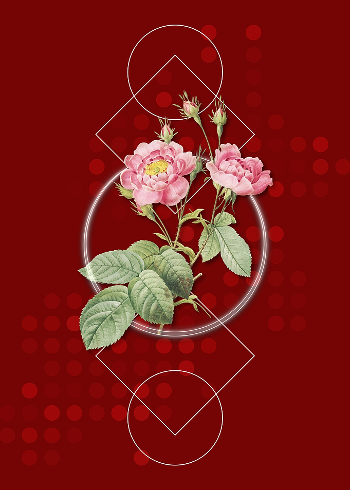 Geometric Anemone Rose
