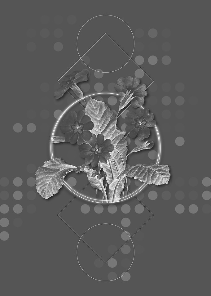 Gray Geometric Grandiflora