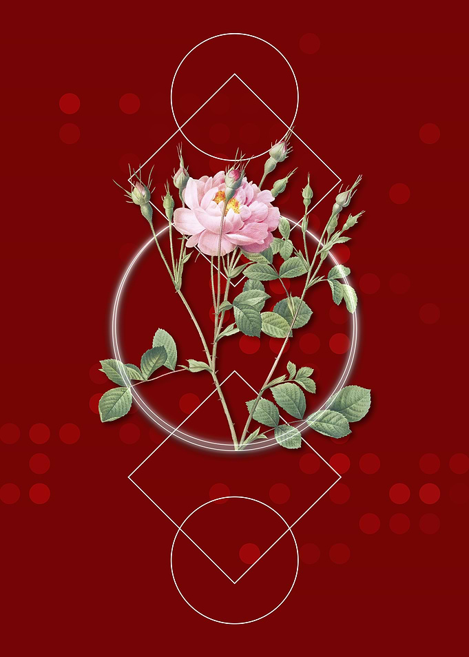 Geometric Sweetbriar Rose