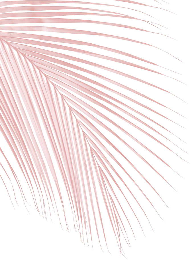 Blush Pink Palm Leaf 1