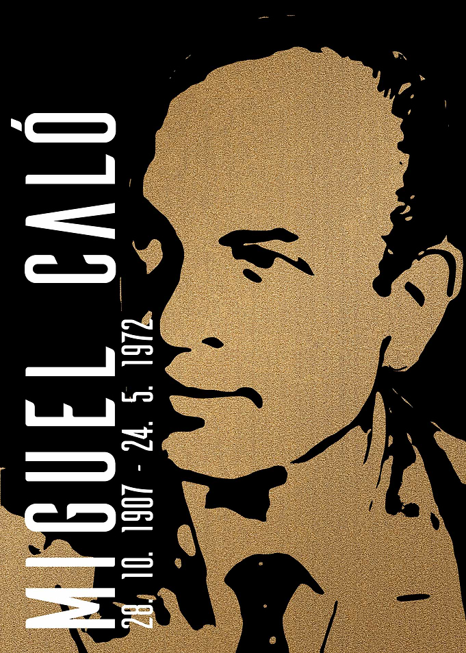 Miguel Calo