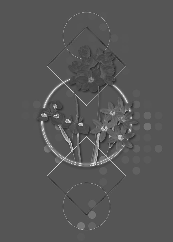 Gray Geometric Corn Lily