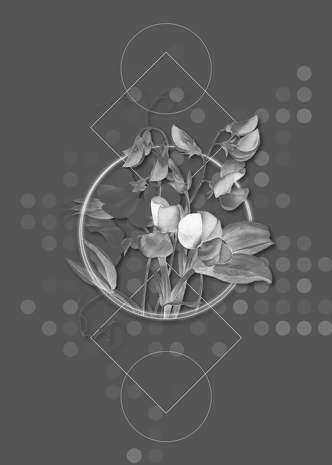 Geometric Sweet Pea Flower