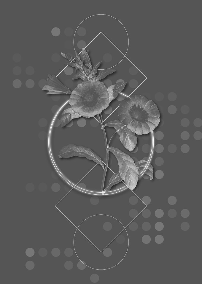 Geometric Field Bindweed