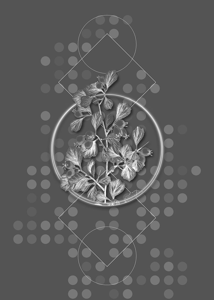Geometric Thorn Flower