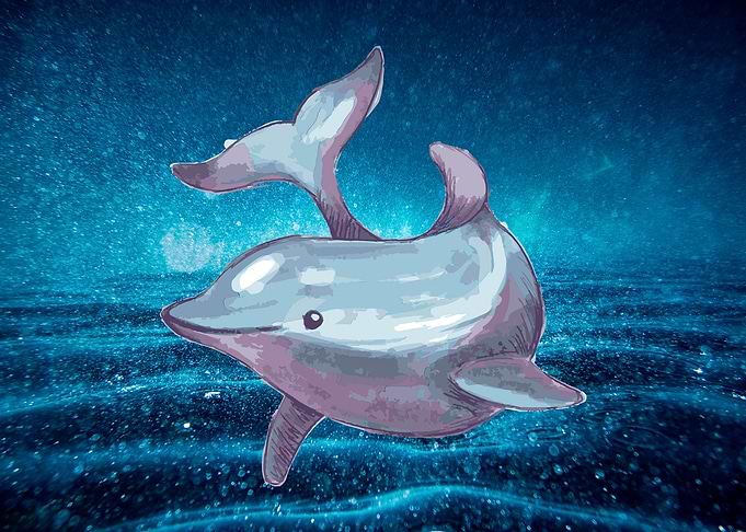 Cute dolphin