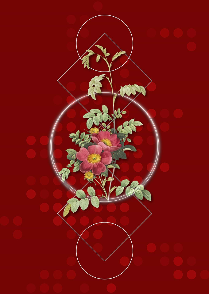Red Geometric Alpine Rose