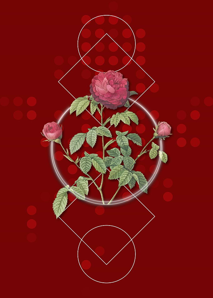 Geometric Agatha Rose