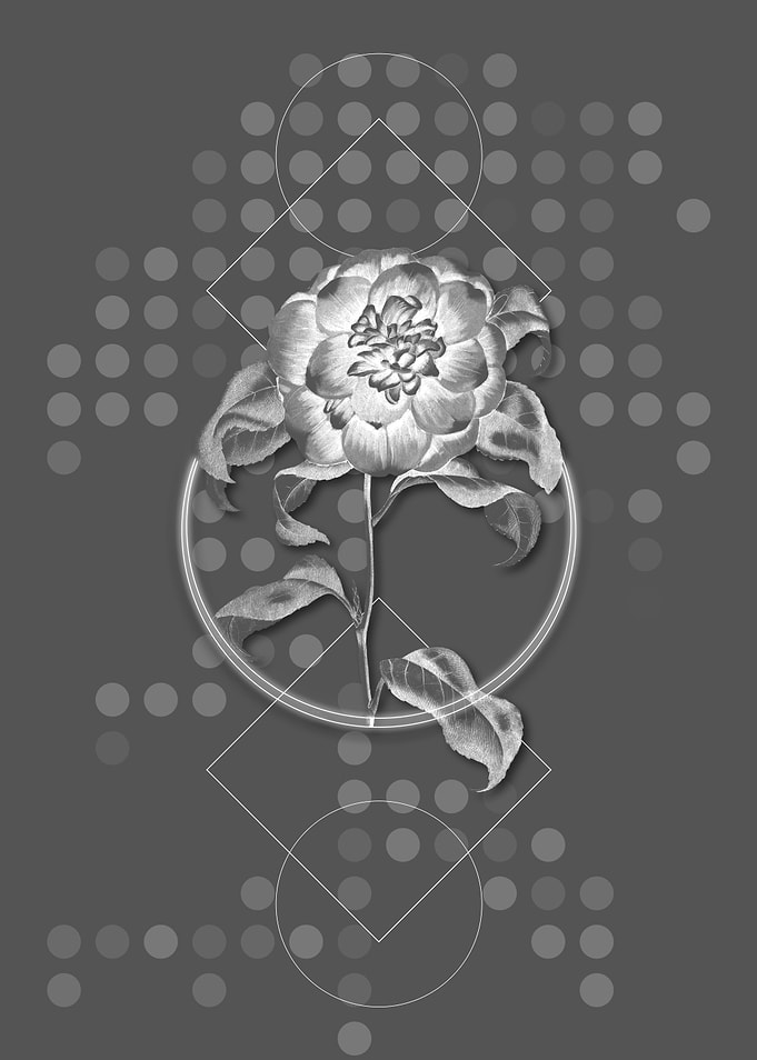 Geometric Crimson Camellia
