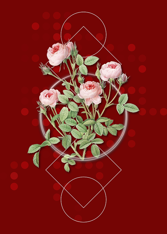 Geometric Burgundian Rose