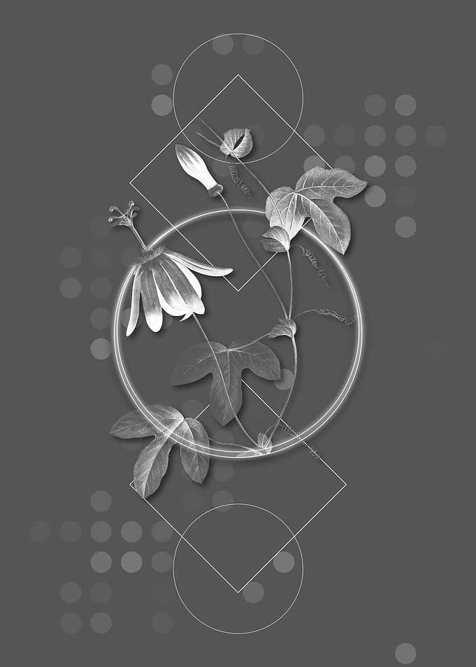 Vintage Red Passion Flower