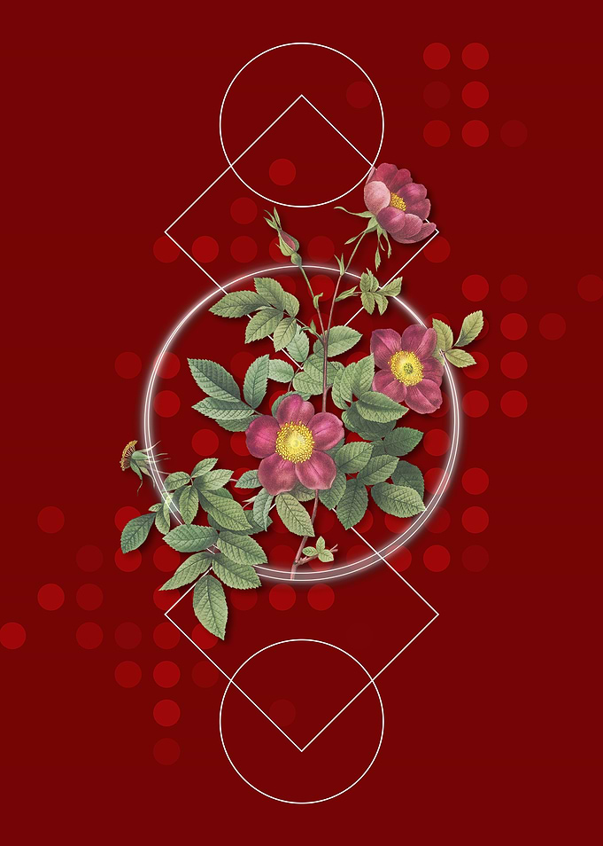 Red Geometric Alpine Rose
