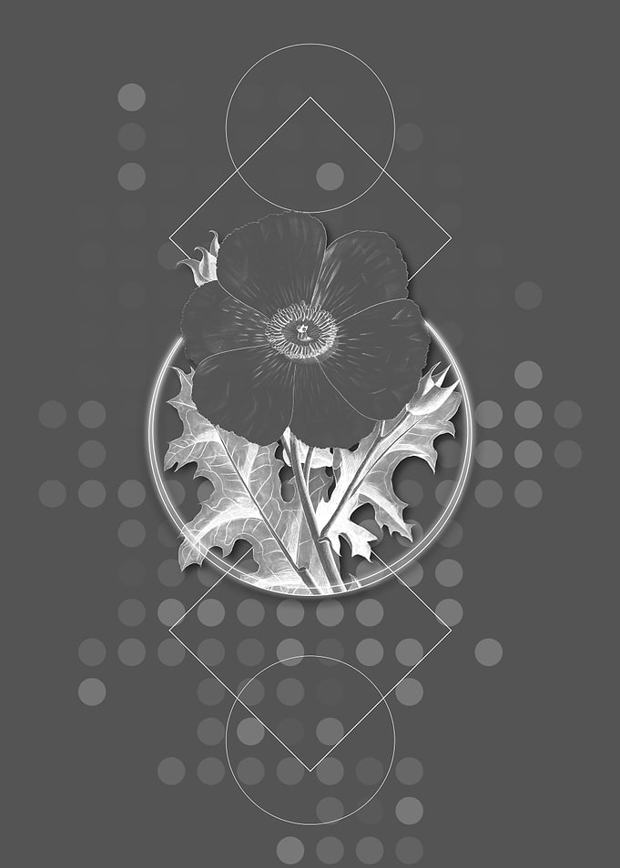 Geometric Poppy Flower