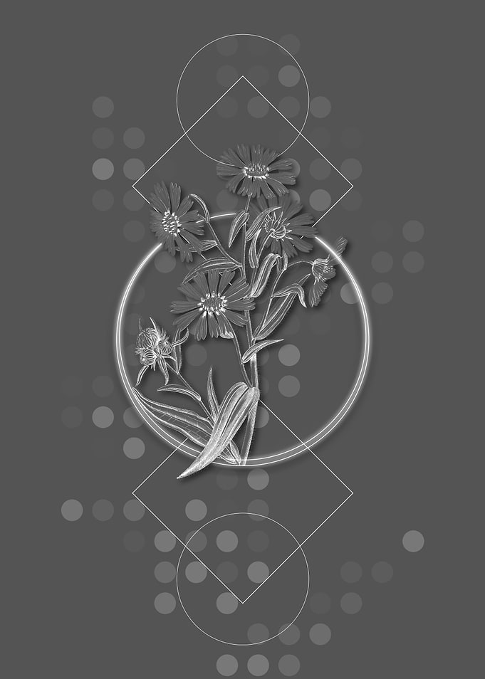 Geometric Madia Flower