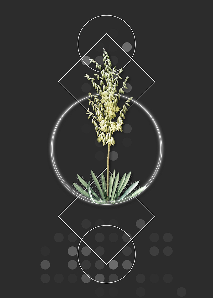 Vintage Adams Needle Flora