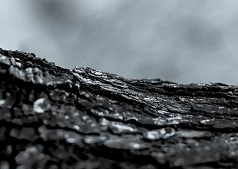 Latest drop