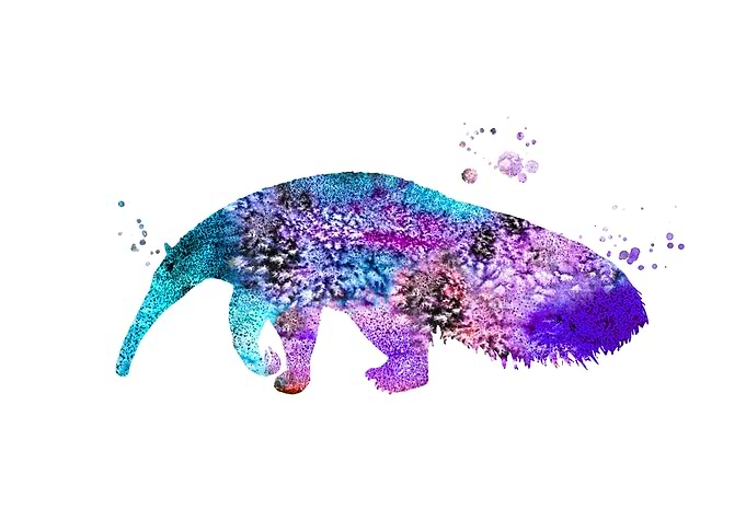 Anteater