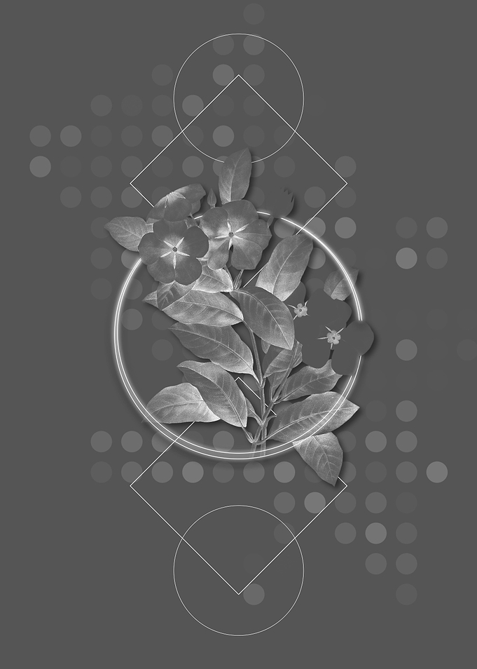 Ghostly Gray Periwinkle