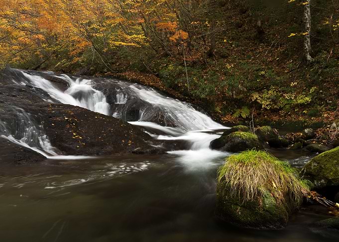 A stream full of autumn