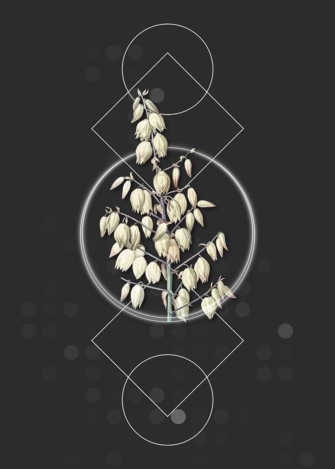Geometric Adams Needle