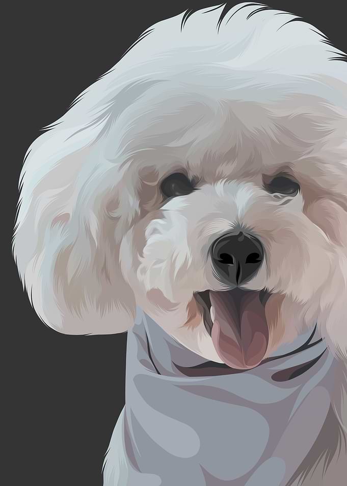 The white curls dog 2