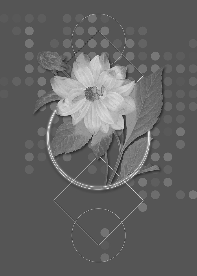 Geometric Double Dahlias