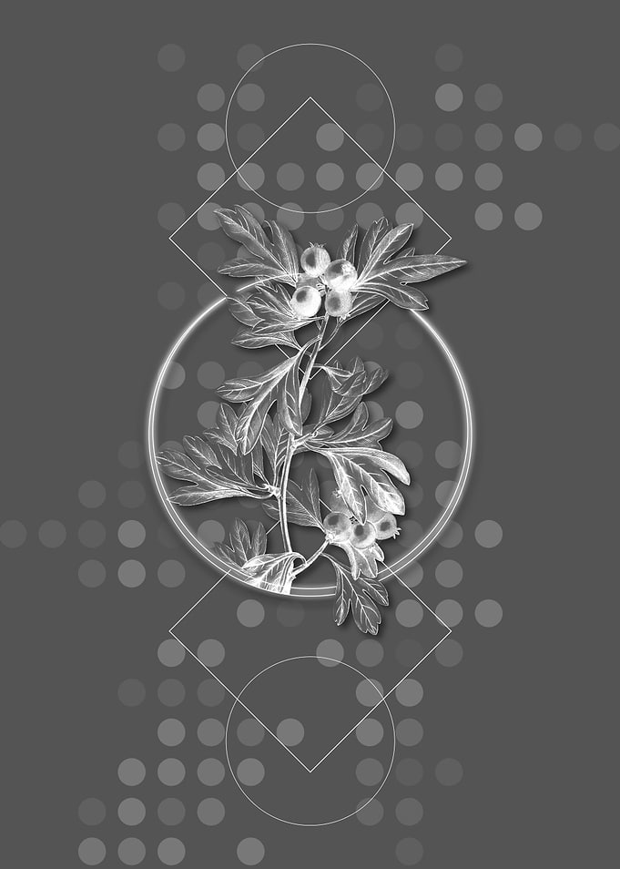 Geometric Hawthorn Flower