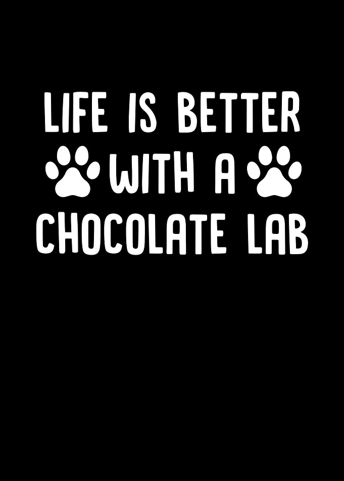 Life Is Better With a