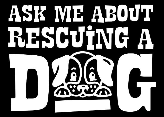 Dog Rescue Adoption