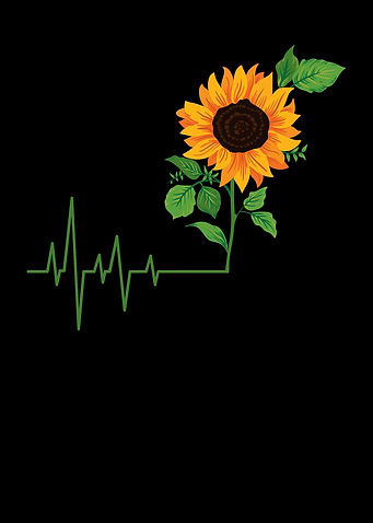 Sunflower Flower