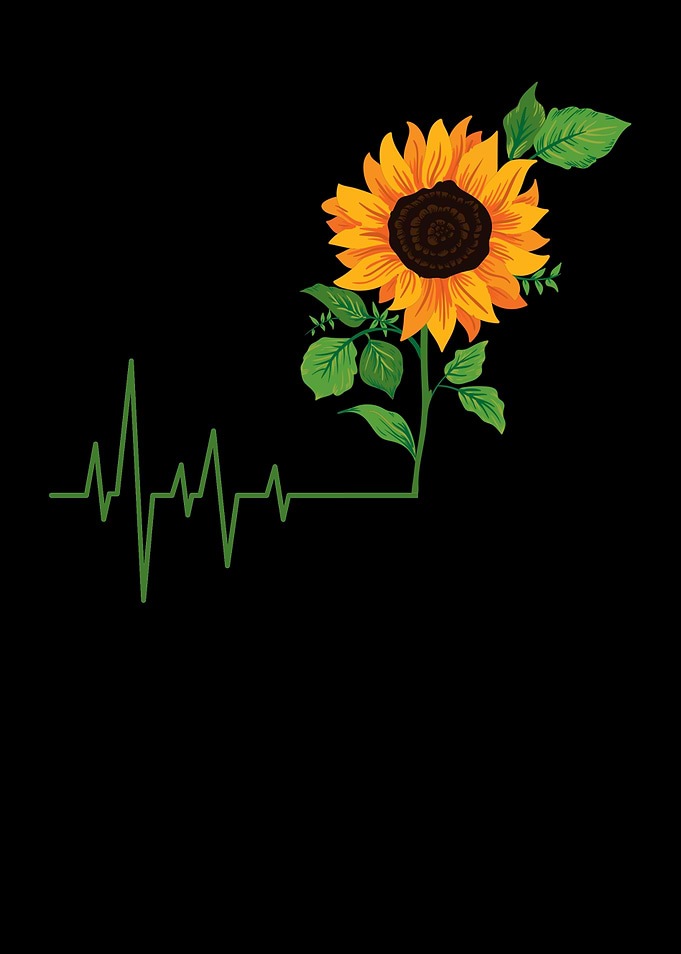 Sunflower Flower