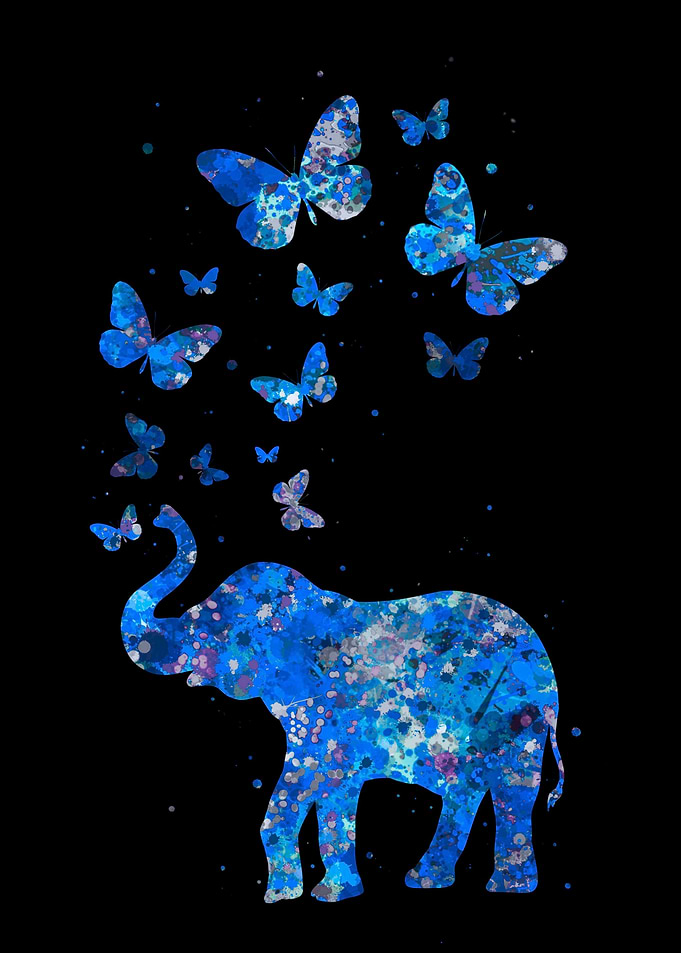 Blue elephant butterfly