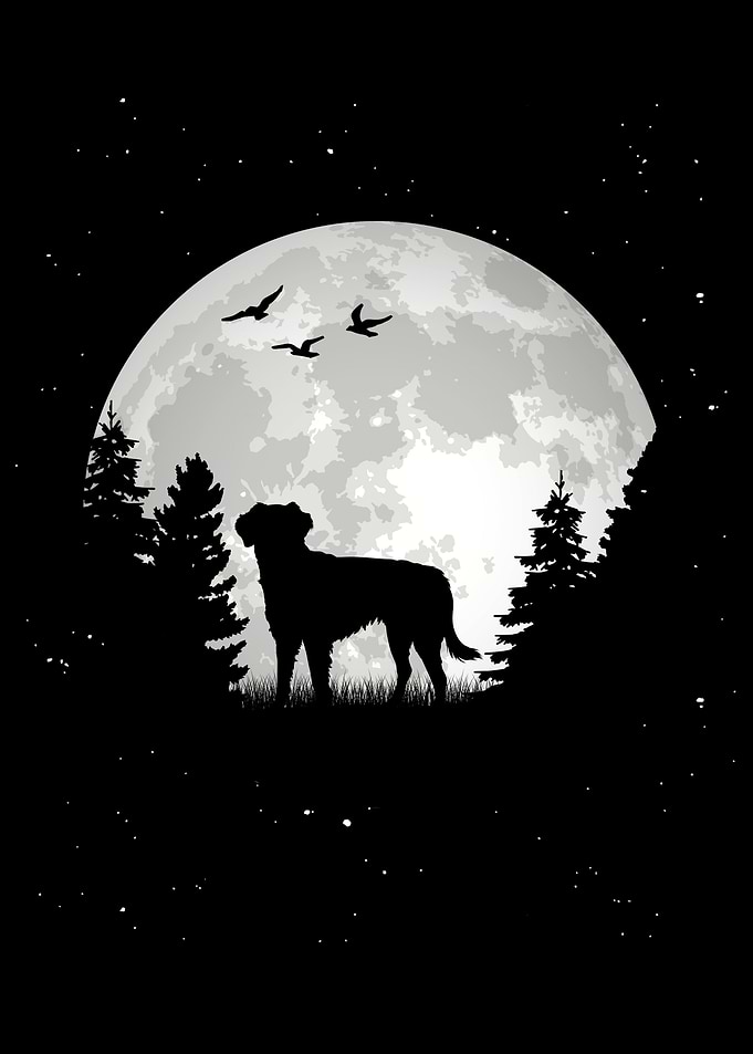 Small Munsterlnder Moon