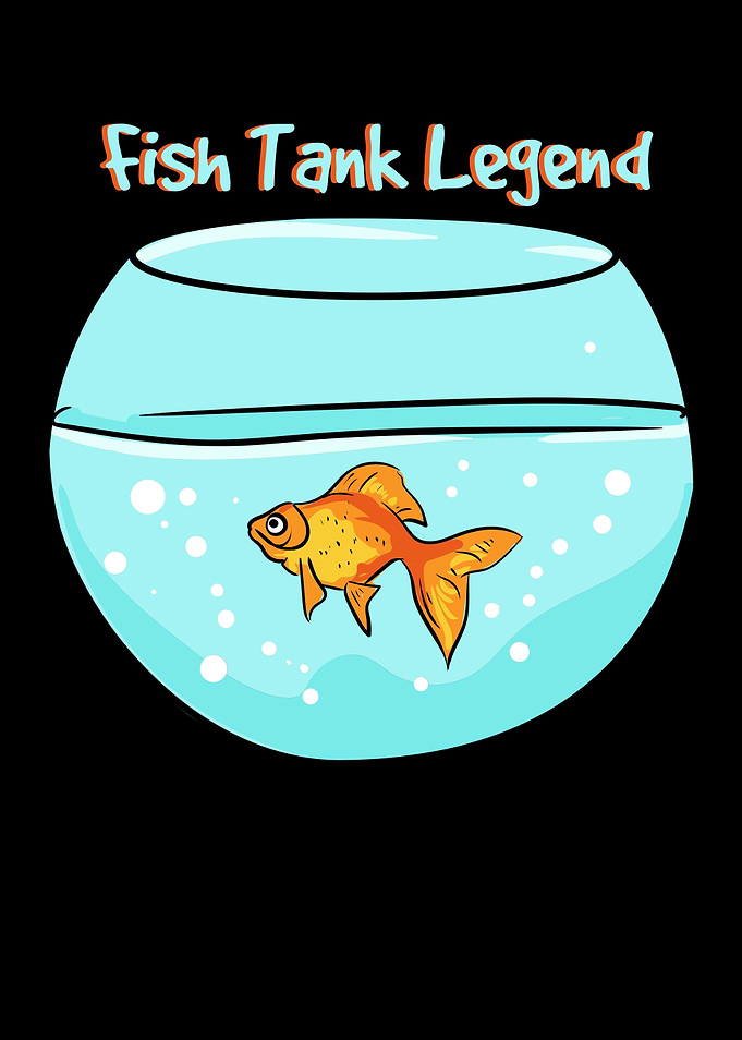 Aquarist Aquarium Fish