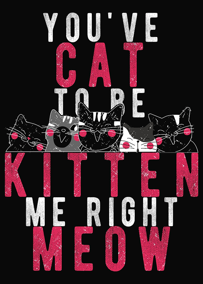 Cat Cats Kitty Feline