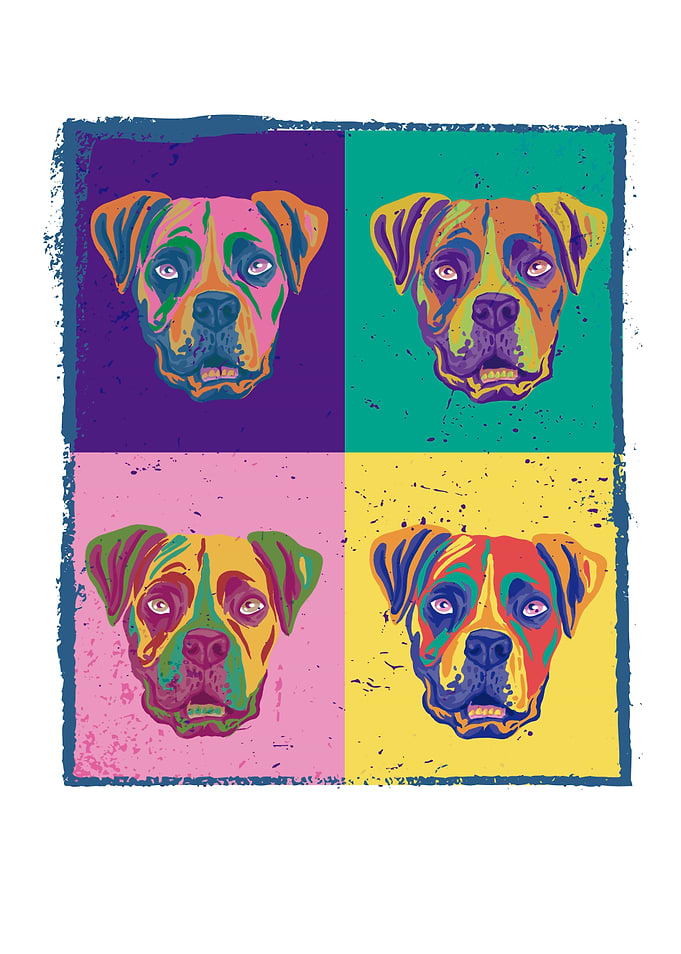COLORFUL BOXER DOGS