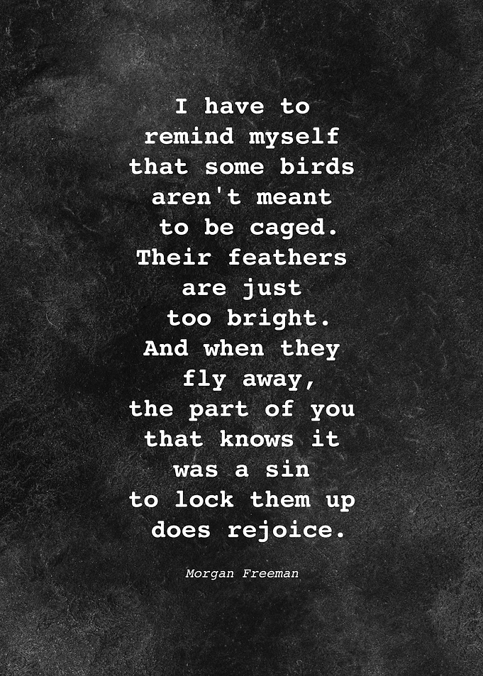 Morgan Freeman Quote D011