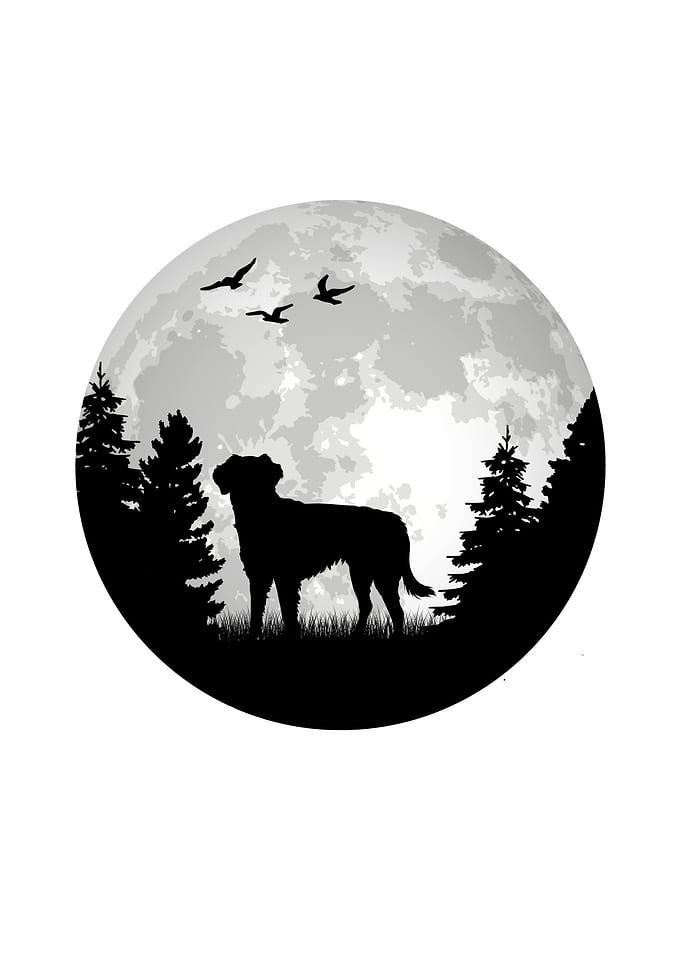 Small Munsterlnder Moon