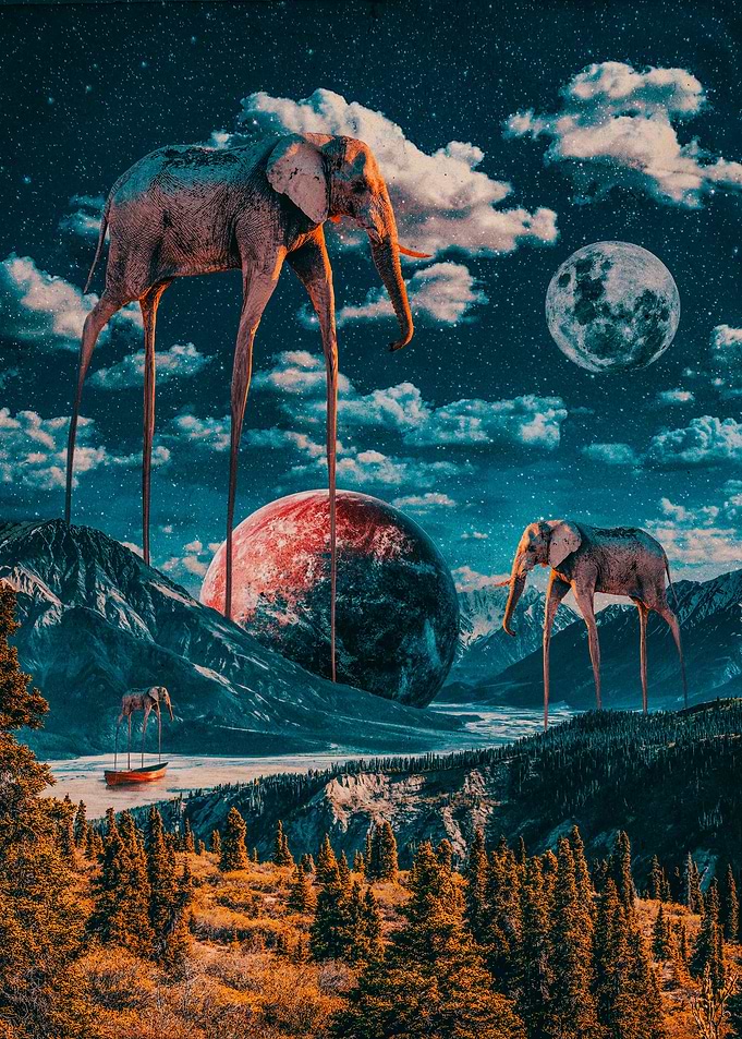 ELEPHANTS WORLD