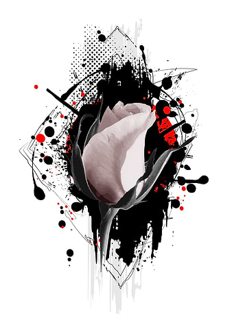 Rose in Chaos