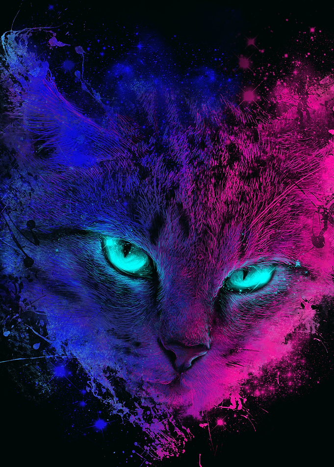 Fantastic Space Cat Art