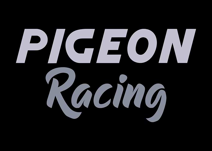 Pigeon Racing Pigeons