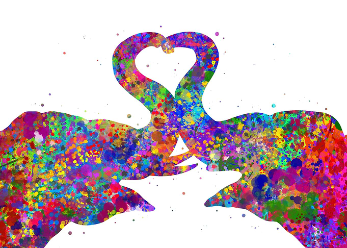 Elephant love