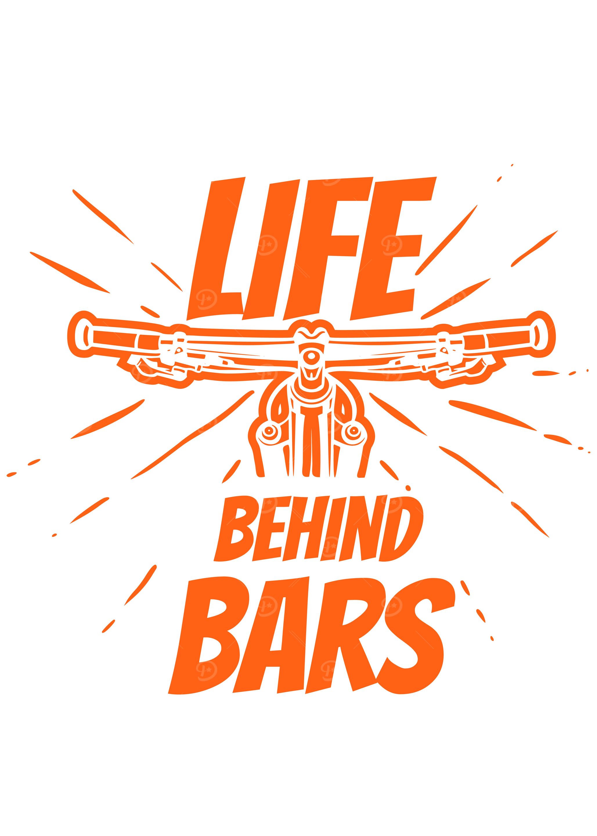 Life Behind Bars