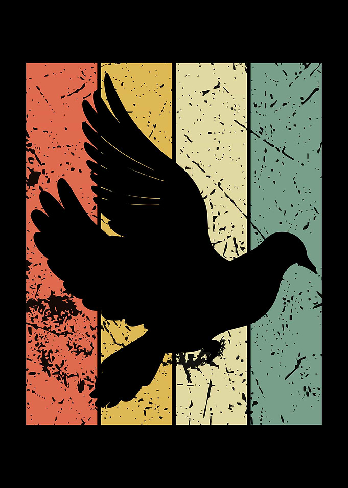 Pigeon Pigeons Doves Bird