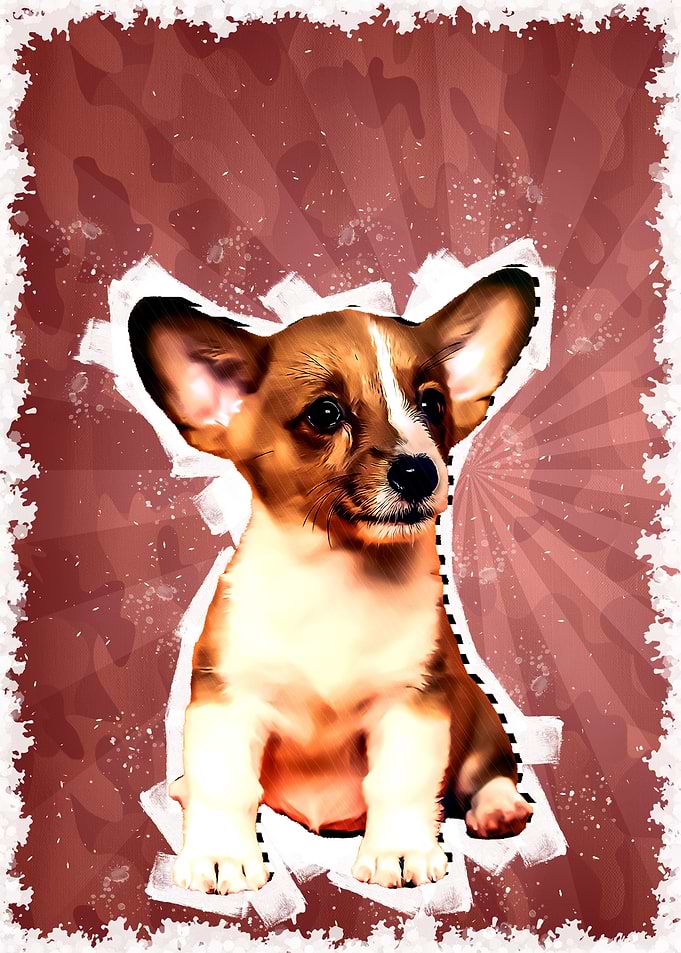 Cute dog