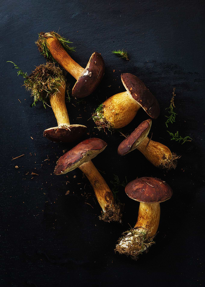 Wild mushrooms