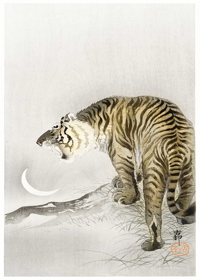 Roaring Tiger