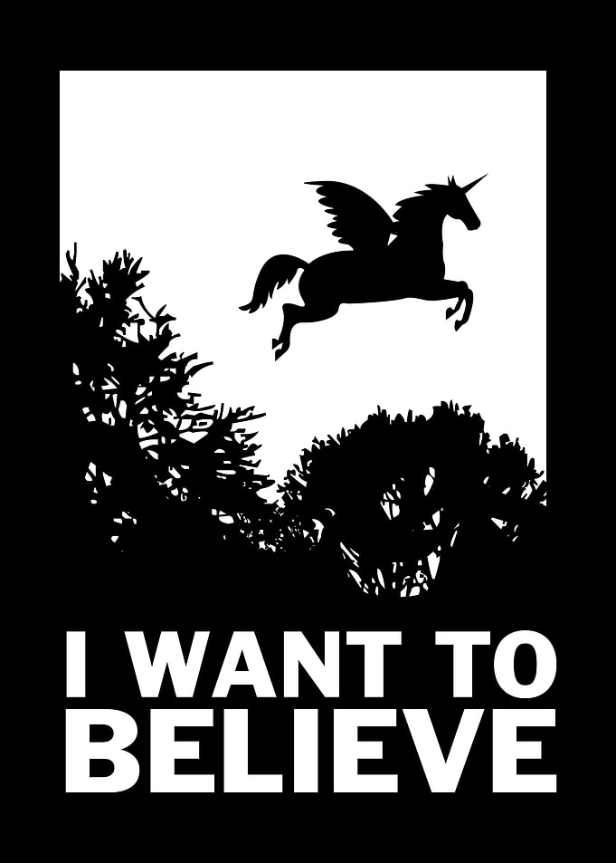 I Want To Believe Unicorns